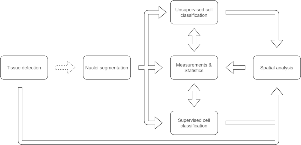 Pipeline d'analyse de cellules